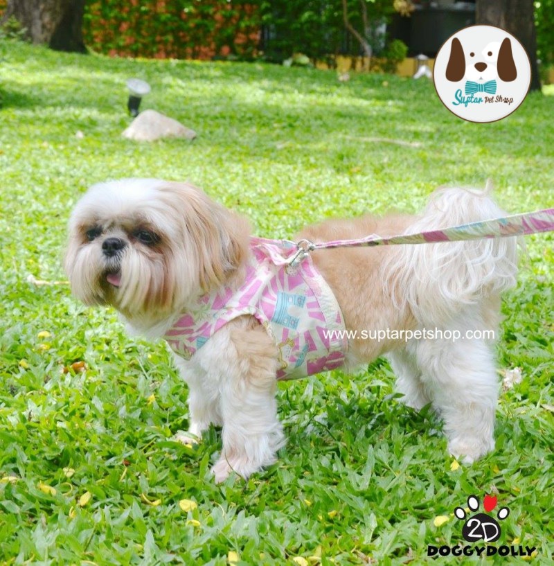 สายจูงสุนัขเสื้อหมา-17991531_1622498111107819_593728205925149.jpg
