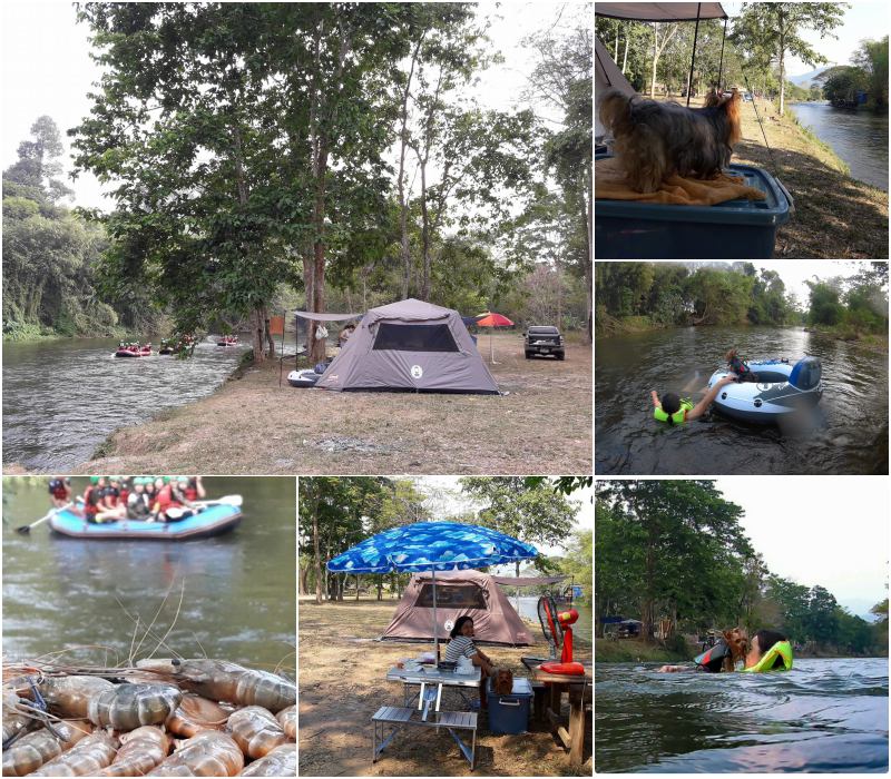 รีวิวที่พักสัตว์เลี้ยงเข้าพักได้ พาน้องหมากางเต็นท์ "สวนคุณเล็ก จ.นครนายก"