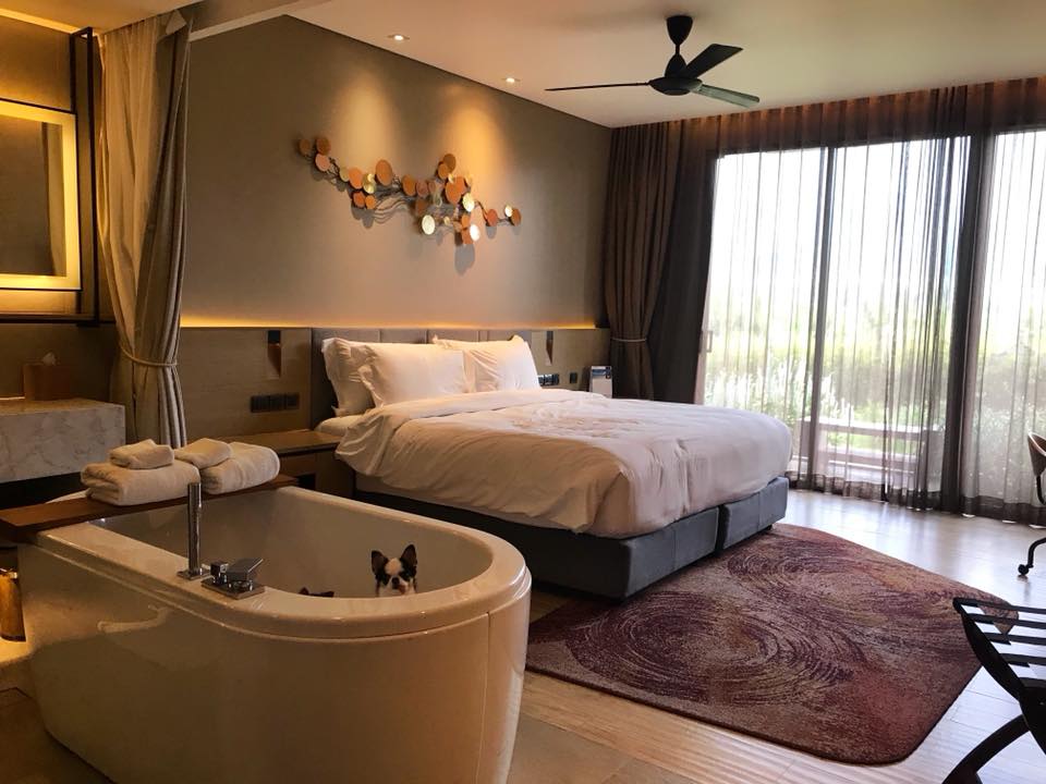 รีวิวที่พักสัตว์เลี้ยงเข้าพักได้ ดุสิตดีทู เขาใหญ่ (DusitD2 Khao Yai) สวยสุดหรู น้องหมาพักได้ด้วย