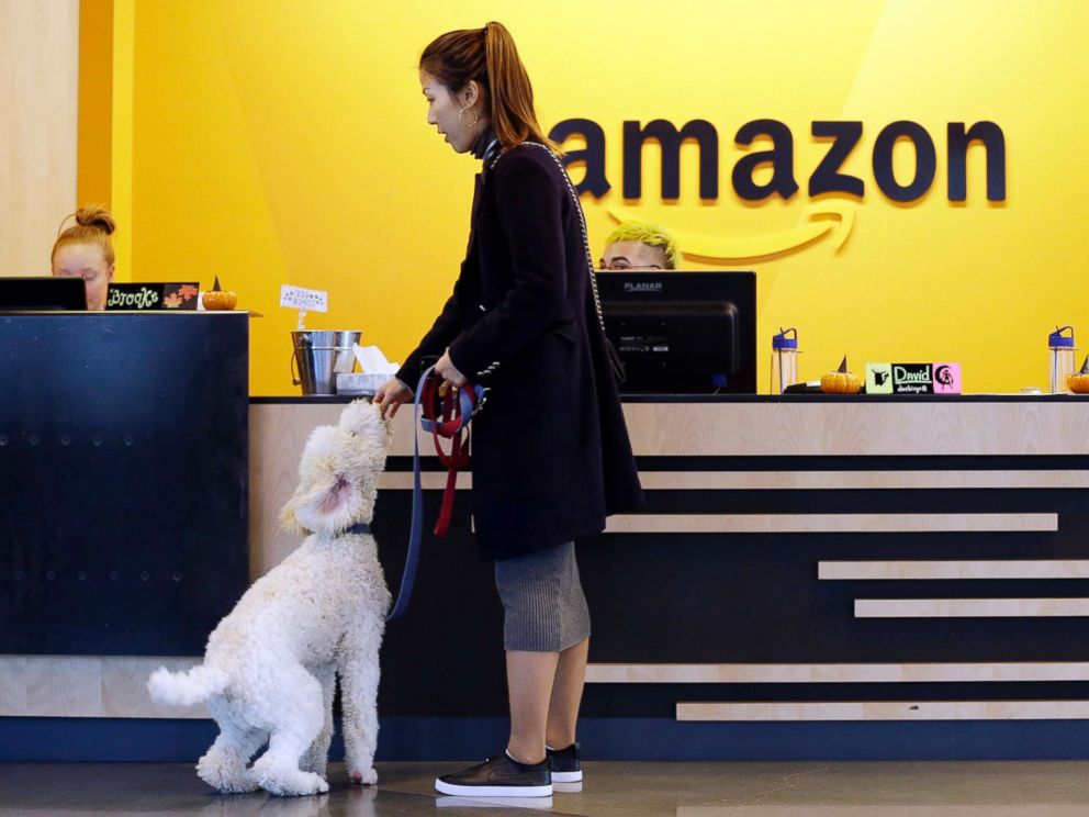 เจ๋งสุดๆ สำหรับคนรักน้องหมา เมื่อบริษัทอนุญาตให้พาสุนัขมาทำงานได้ด้วย