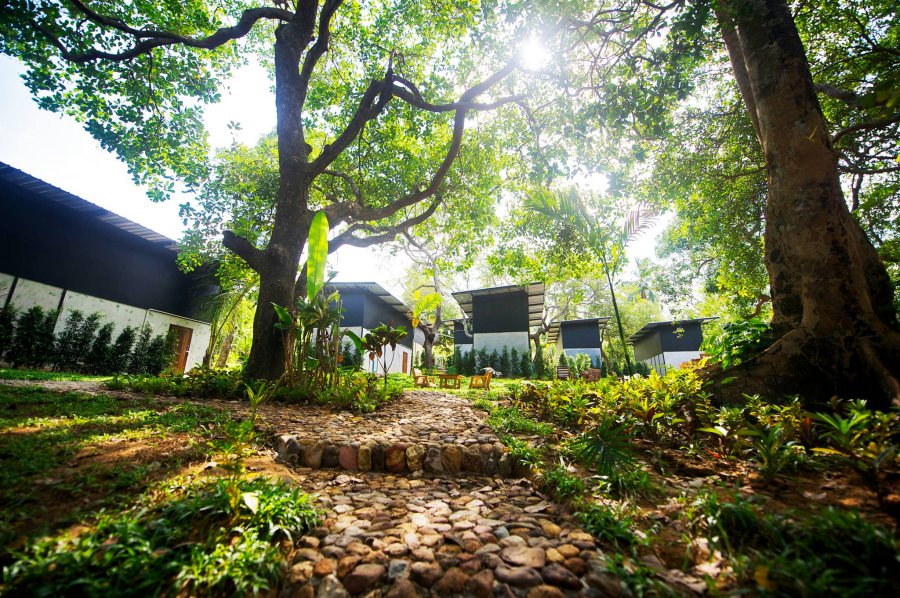 หิมพานต์ รีสอร์ท  เกาะพยาม ระนอง สุน้ขเข้าพักได้