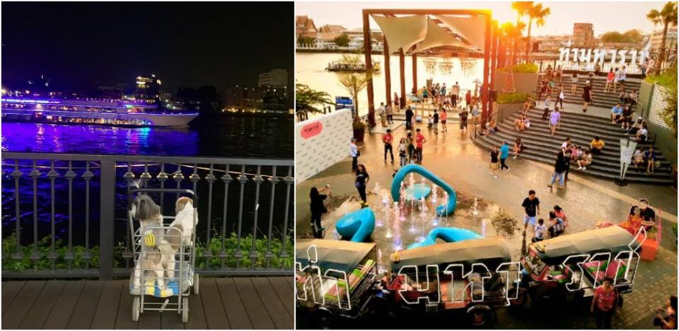 ห้างสัตว์เลี้ยงเข้าได้ในกรุงเทพฯ ปี 2025