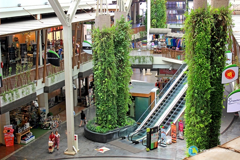 ห้างสัตว์เลี้ยงเข้าได้ในกรุงเทพฯ ปี 2025