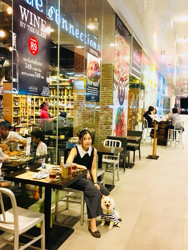 ห้างสัตว์เลี้ยงเข้าได้ในกรุงเทพฯ ปี 2025