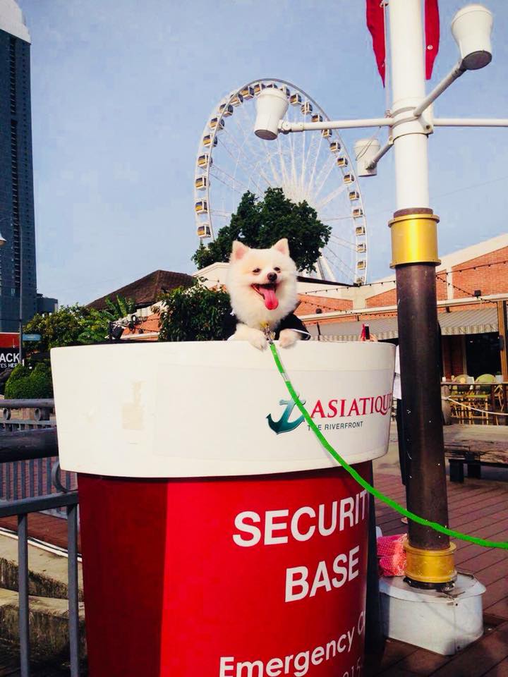 ห้างสัตว์เลี้ยงเข้าได้ในกรุงเทพฯ ปี 2025