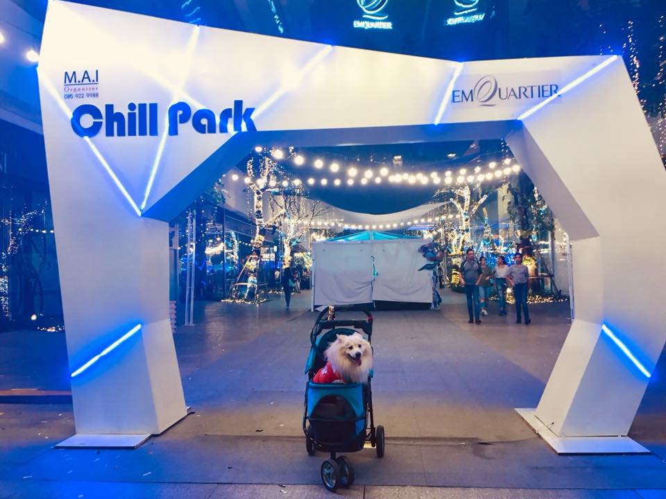 ห้างสัตว์เลี้ยงเข้าได้ในกรุงเทพฯ ปี 2025