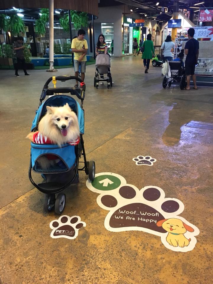 ห้างสัตว์เลี้ยงเข้าได้ในกรุงเทพฯ ปี 2025