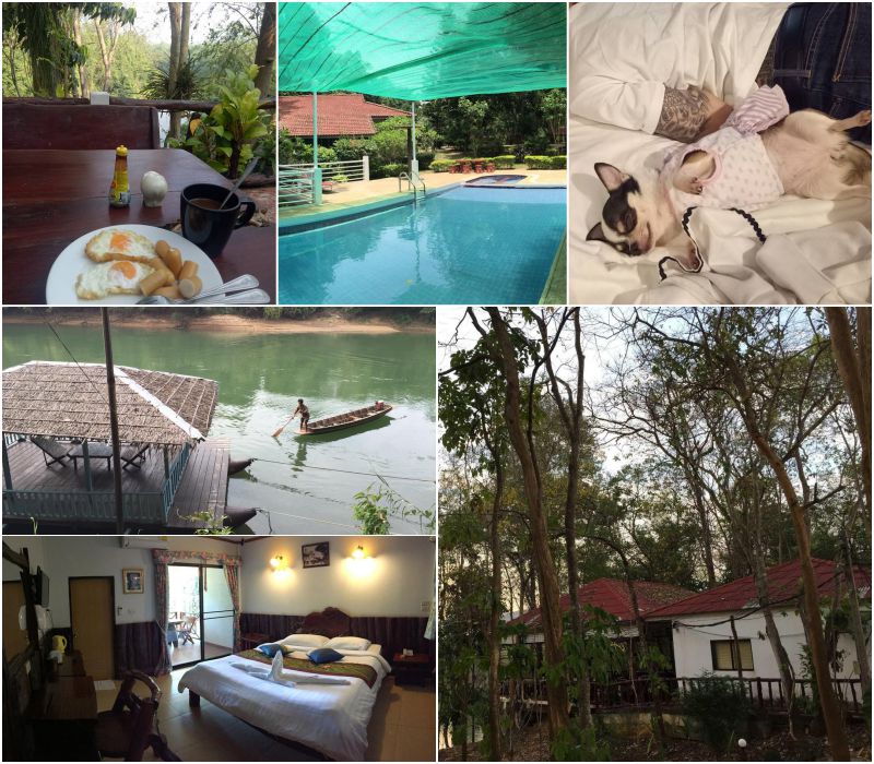 อัปเดต 2569! ที่พักแพริมน้ำเขื่อนศรีนครินทร์ (หมาใหญ่พักได้) | ที่สุดของ Pet Friendly กาญจนบุรี
