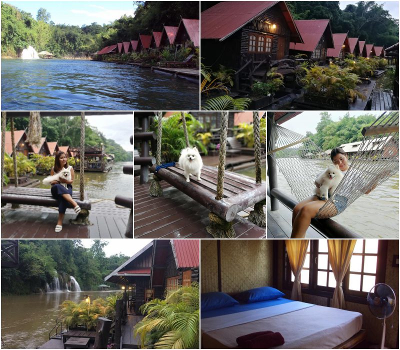 อัปเดต 2569! ที่พักแพริมน้ำเขื่อนศรีนครินทร์ (หมาใหญ่พักได้) | ที่สุดของ Pet Friendly กาญจนบุรี