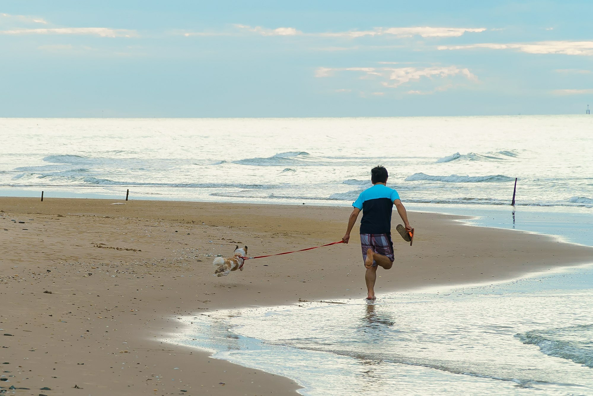 วาฏิกา แอดเวนเจอร์ รีทรีทติค รีสอร์ท (Vartika Adventure Retreatic Resort) กุยบุรี ประจวบคีรีขันธ์ ที่พักติดทะเล สุนัขพักได้ทุกสายพันธ์