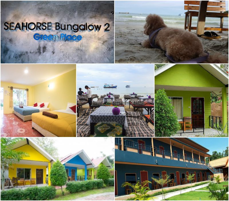 รีวิวที่พักสัตว์เลี้ยงเข้าพักได้ ซีฮอร์ส บังกะโล 2 ( Seahorse Bungalow 2 ) อ่าววงเดือน, เกาะเสม็ด ระยอง