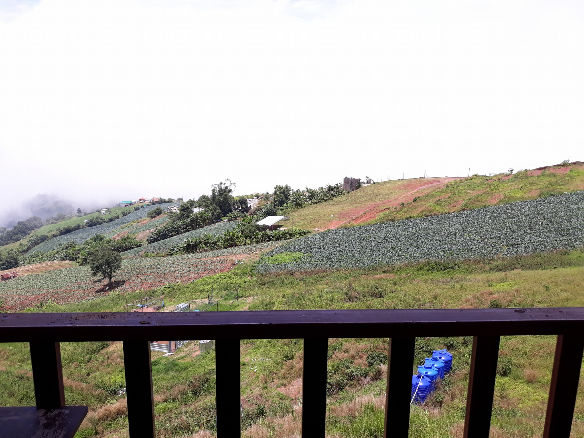 รีวิวที่พักสัตว์เลี้ยงเข้าพักได้ อาขื้อ ภูทับเบิกรีสอร์ท เพชรบูรณ์ หมาพักได้