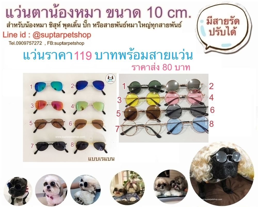 00แว่นกันแดดน้องหมา.jpg