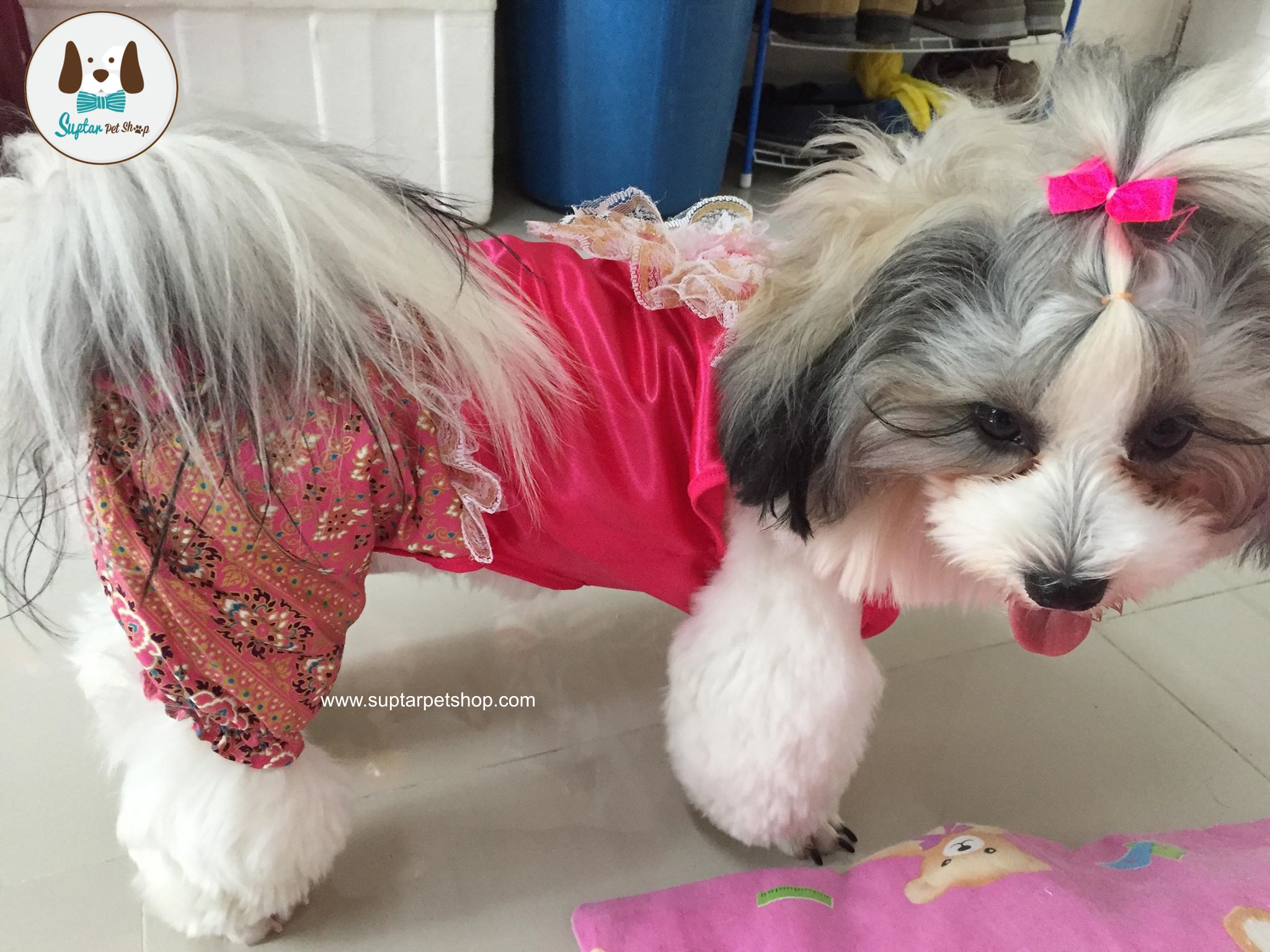 ชุดไทยน้องหมาราคาถูก ชุดไทยสุนัข ชุดไทยแมว ราคา 290 บาทเท่านั้น !