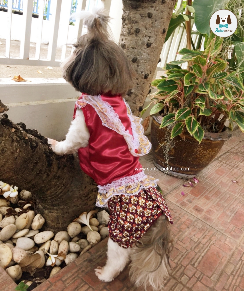 ชุดไทย-25610331_180331_0007-น้องหมา.jpg