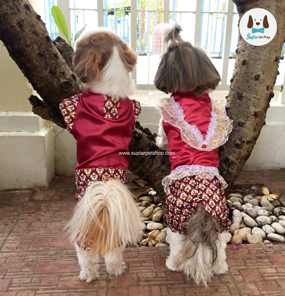 ชุดไทย-25610331_180331_0012-น้องหมา.jpg