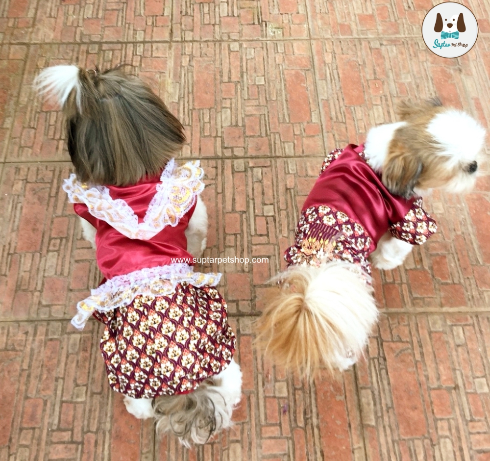 ชุดไทย-ออเจ้า25610331_180331_0015-น้องหมา.jpg