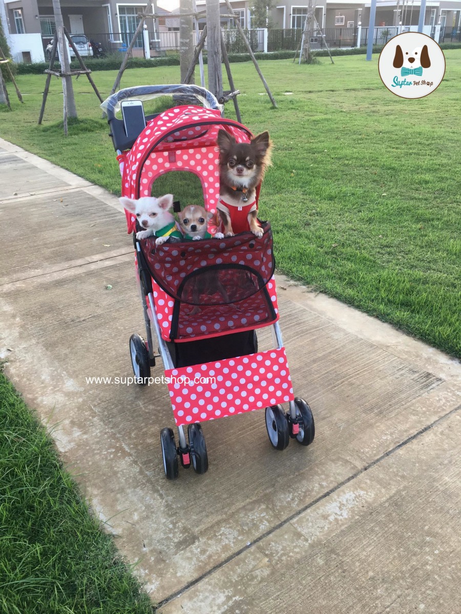 รถเข็นสุนัข รถเข็นหมา รถเข็นแมว