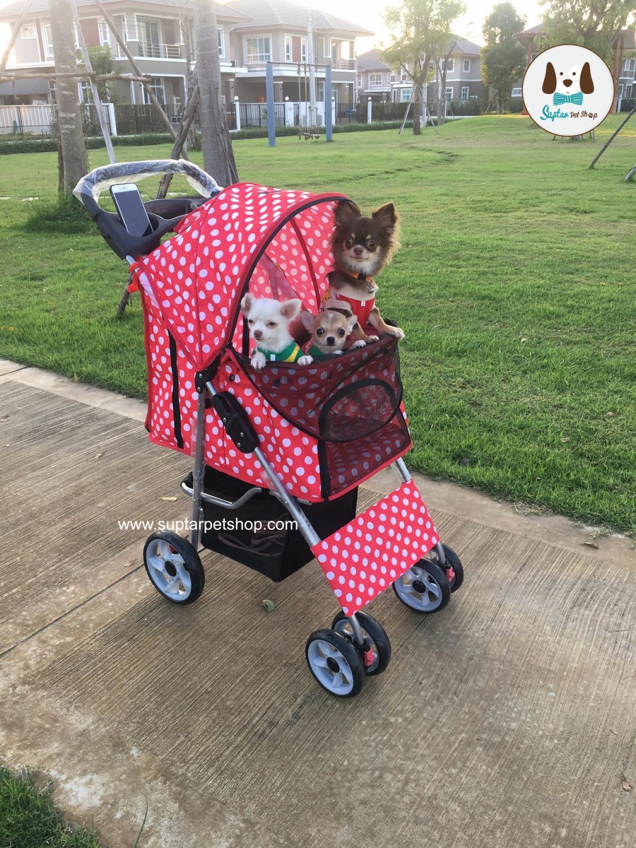 รถเข็นสุนัข รถเข็นหมา รถเข็นแมว