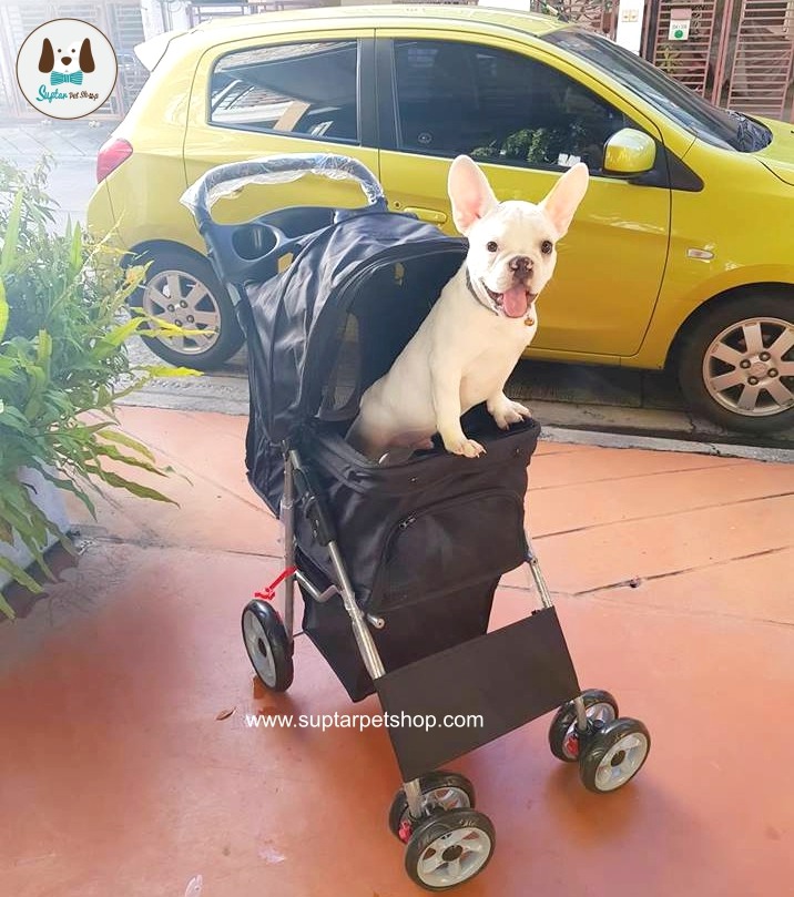 รถเข็นสุนัข รถเข็นหมา รถเข็นแมว