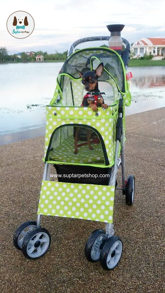 รถเข็นสุนัข รถเข็นหมา รถเข็นแมว