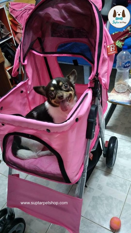 รถเข็นสุนัข รถเข็นหมา รถเข็นแมว