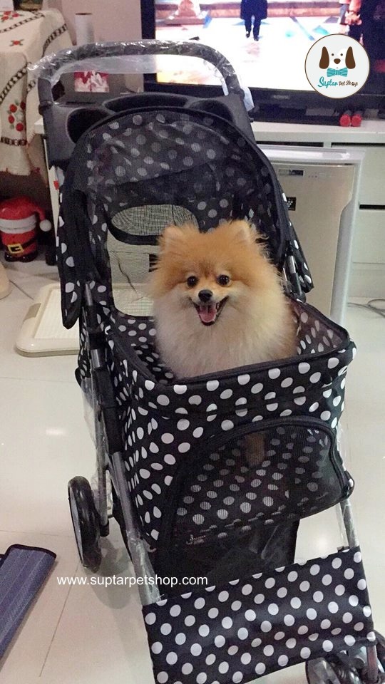 รถเข็นสุนัข รถเข็นหมา รถเข็นแมว