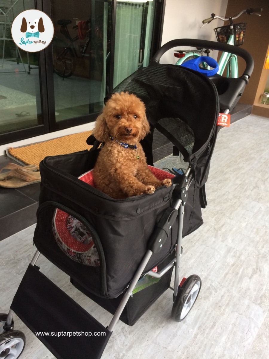 รถเข็นสุนัข รถเข็นหมา รถเข็นแมว