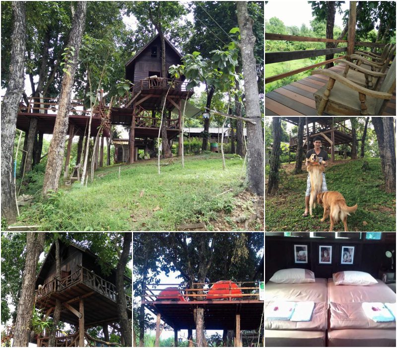 โฮมสเตย์บ้านครู พาหมาเที่ยวน่าน ราคาหลักร้อย สุนัขเข้าพักฟรีทุกสายพันธ์