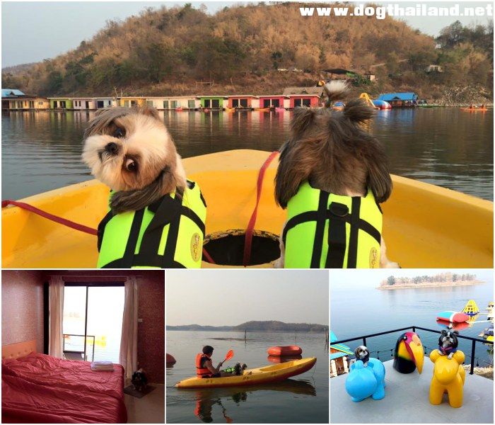 อัปเดต 2569! ที่พักแพริมน้ำเขื่อนศรีนครินทร์ (หมาใหญ่พักได้) | ที่สุดของ Pet Friendly กาญจนบุรี