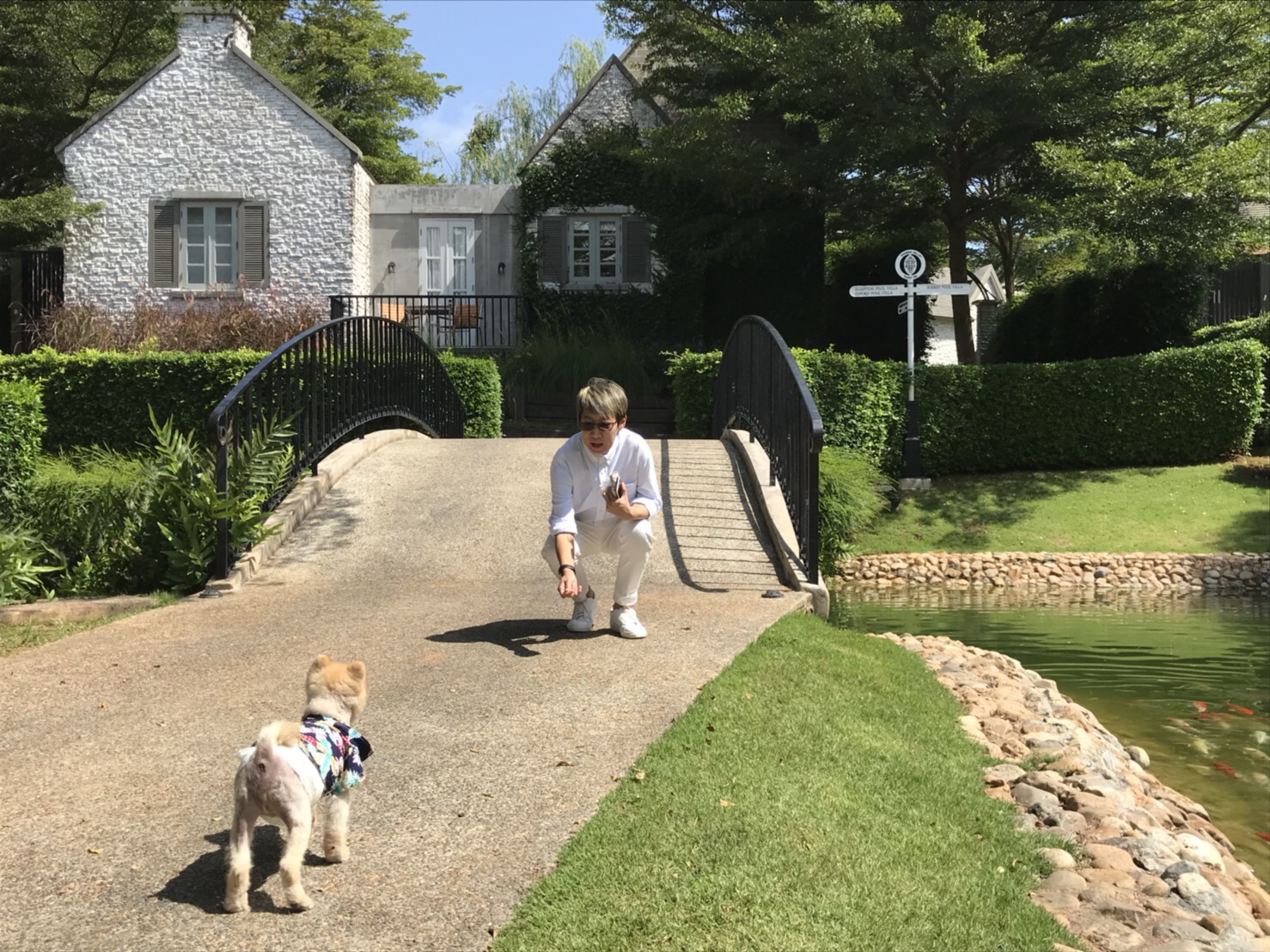 โรงแรม เทมส์ วัลลีย์ เขาใหญ่ (Thames Valley Khao Yai Hotel) ที่พักเขาใหญ่สัตว์เลี้ยงพักได้  หรูหราสไตส์ยุโรป 5 ดาว พาหมาเที่ยวเขาใหญ่