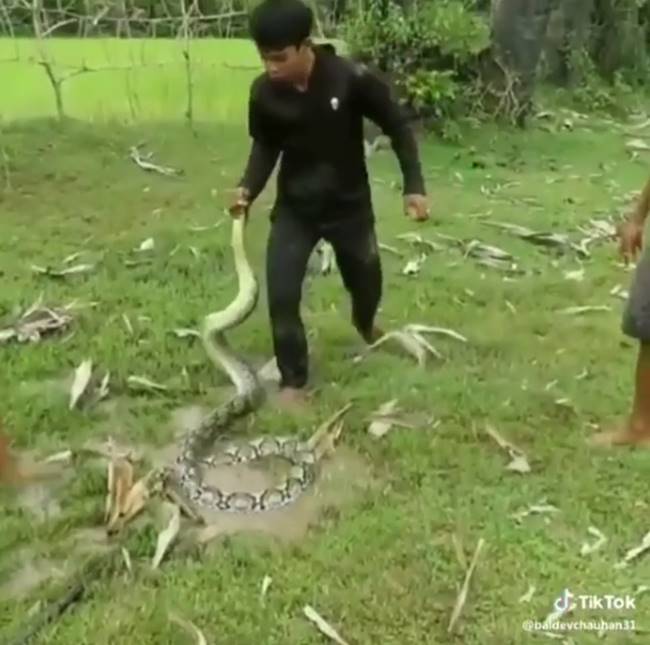 เจ้าของสุนัขกลุ่มเด็กชายสู้งูเหลือมไม่ถอย เพื่อช่วยชีวิตสุนัขแสนรักที่กำลังถูกงูรัด ไม่ยอมให้เพือนสี่ขาโดนตกเป็นอาหารงู คลิปสุดลุ้นระทึก