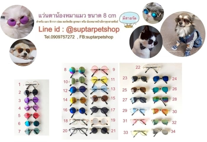 แว่นแมว008cmไม่มีราคาแว่นเล็ก.jpg