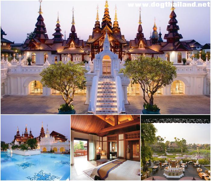 รวมที่พักหมาพักได้ เชียงใหม่ Pet Friendly หมาใหญ่พักได้ พาหมาเที่ยวเชียงใหม่ ล่าสุด