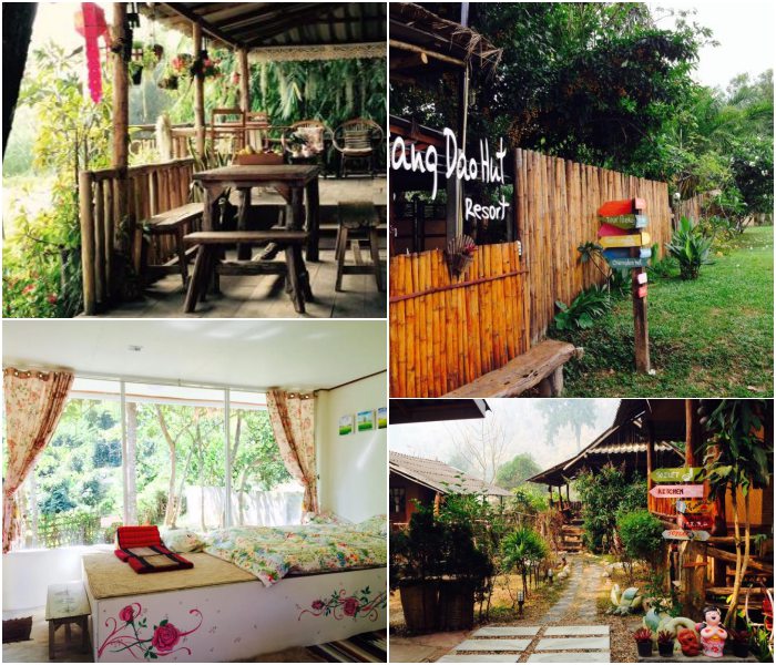 รวมที่พักหมาพักได้ เชียงใหม่ Pet Friendly หมาใหญ่พักได้ พาหมาเที่ยวเชียงใหม่ ล่าสุด