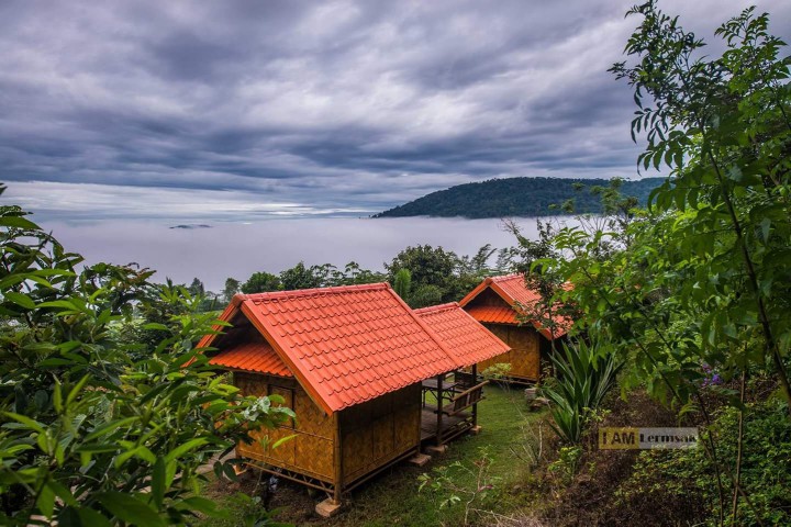 เขาค้อ ภูชิดหมอก รีสอร์ท (Phuchidmok Resort) สุนัขพักได้ เพชรบูรณ์