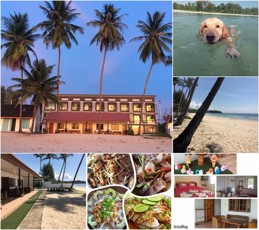 เรือนธรรมชาติ หาดทุ่งวัวแล่น พาหมาเที่ยวชุมพร ที่พักติดทะเล ราคาถูก หมา แมวพักได้ทุกสาวยพันธ์ฟรี - ชุมพร โรงแรม ที่พักหมาพักได้ - Pet Friendly hotel  Thailand 2023 ที่พักสัตว์เลี้ยงพักได้ ที่พักสุนัขพักได้ ที่พักหมาแมวพักได้  ทั่วไทย - Powered by Discuz!