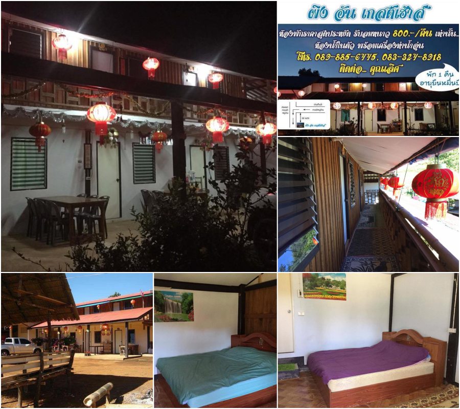 ที่พักรักไทย แม่ฮ่องสอน ผิงอันเกรสเฮ้าส์ พาหมาเที่ยวแม่ฮ่องสอน หมาแมวเข้าพักได้ฟรี