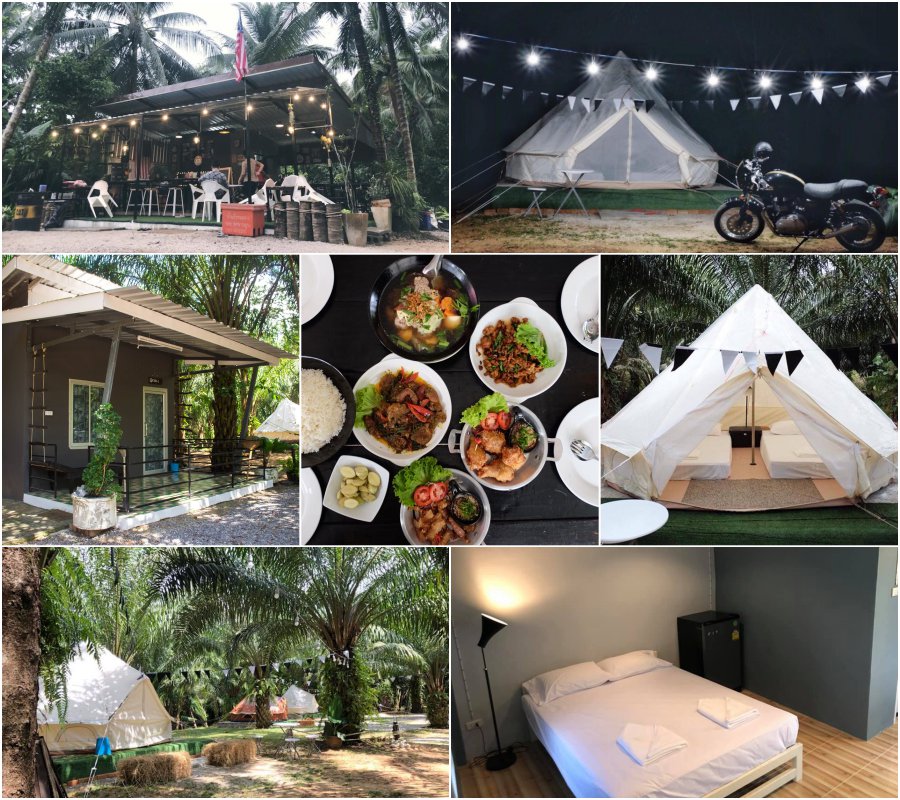 Hippie Chill Garden & Bar ที่พัก ระนอง หมาพักได้ พาหมาแมวเที่ยวระนองนอนกระโจม ธรรมชาติสุดๆ