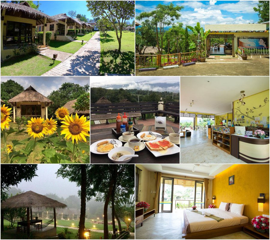 D2Pai Resort ดีทูปาย รีสอร์ทปาย หมาแมวพักได้ พาสี่ขาเที่ยวปาย พักฟรี ใกล้ถนนคนเดินปาย