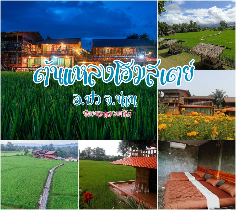 ต้นแหลงโฮมสเตย์ อ.ปัว จ.น่าน น้องหมาแมวพักได้ พักชมวิวสะพานทอดยาว โฮมสเตย์วิวทุ่งนา