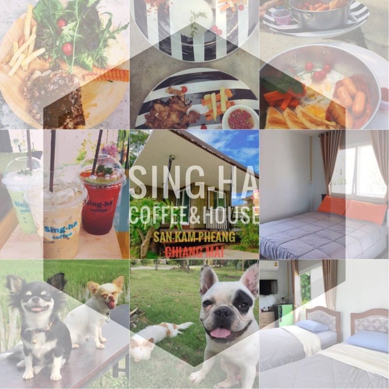 รวมที่พักหมาพักได้ เชียงใหม่ Pet Friendly หมาใหญ่พักได้ พาหมาเที่ยวเชียงใหม่ ล่าสุด