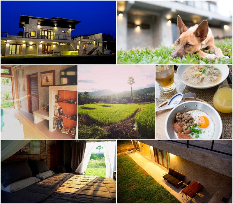 รวมที่พักหมาพักได้ เชียงใหม่ Pet Friendly หมาใหญ่พักได้ พาหมาเที่ยวเชียงใหม่ ล่าสุด