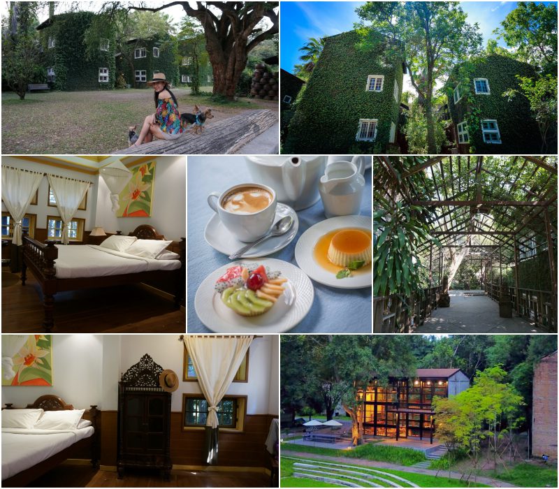 รวมที่พักหมาพักได้ เชียงใหม่ Pet Friendly หมาใหญ่พักได้ พาหมาเที่ยวเชียงใหม่ ล่าสุด