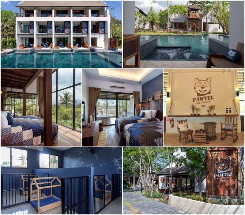 รวมที่พักหมาพักได้ เชียงใหม่ Pet Friendly หมาใหญ่พักได้ พาหมาเที่ยวเชียงใหม่ ล่าสุด