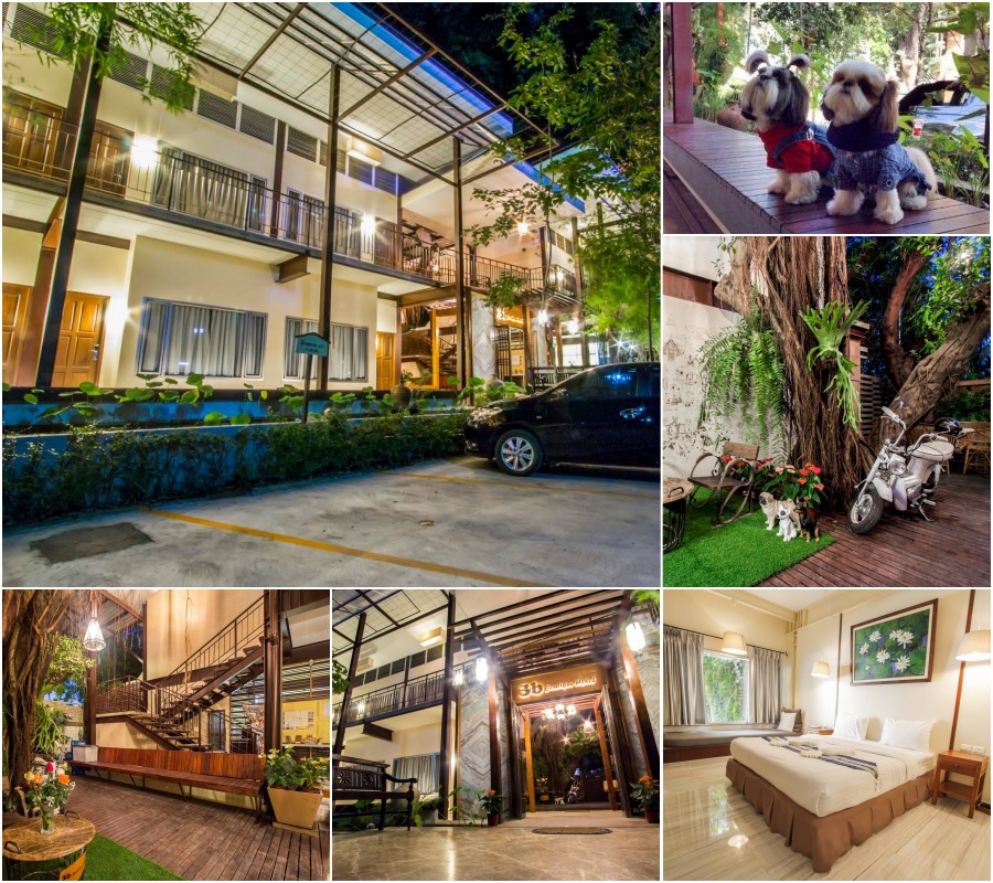 รวมที่พักหมาพักได้ เชียงใหม่ Pet Friendly หมาใหญ่พักได้ พาหมาเที่ยวเชียงใหม่ ล่าสุด