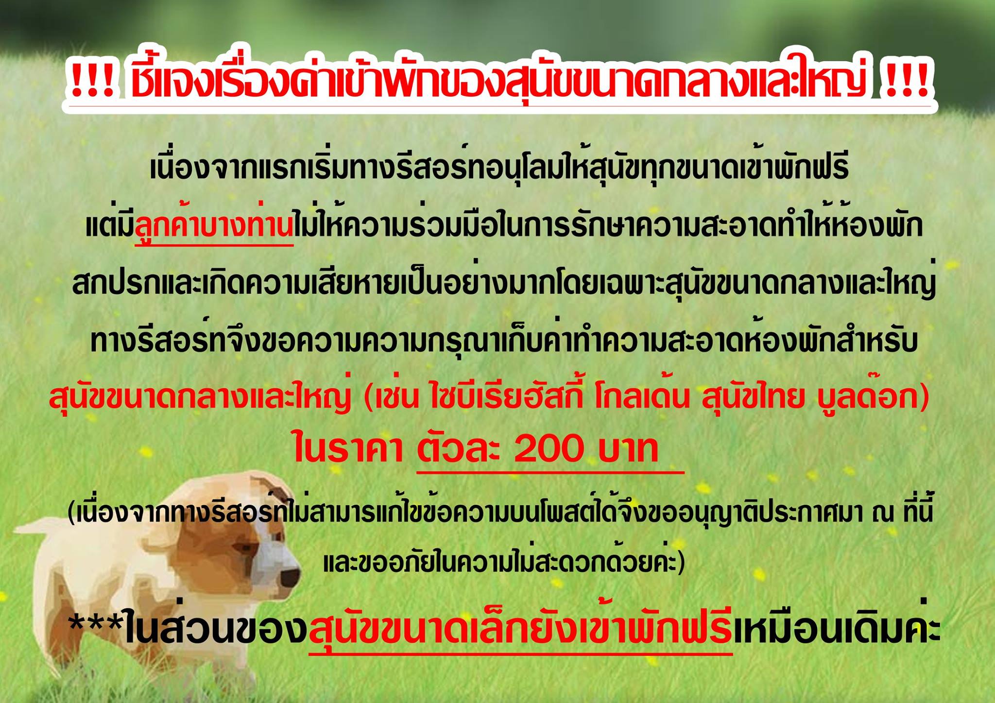 เลม่อน ชาเล่ต์ แก่งกระจาน รีสอร์ต (Lemon Chalet Kaeng Krachan Resort) สุนัขพักได้ทุกสายพันธ์ฟรี แก่งกระจาน เพชรบุรี