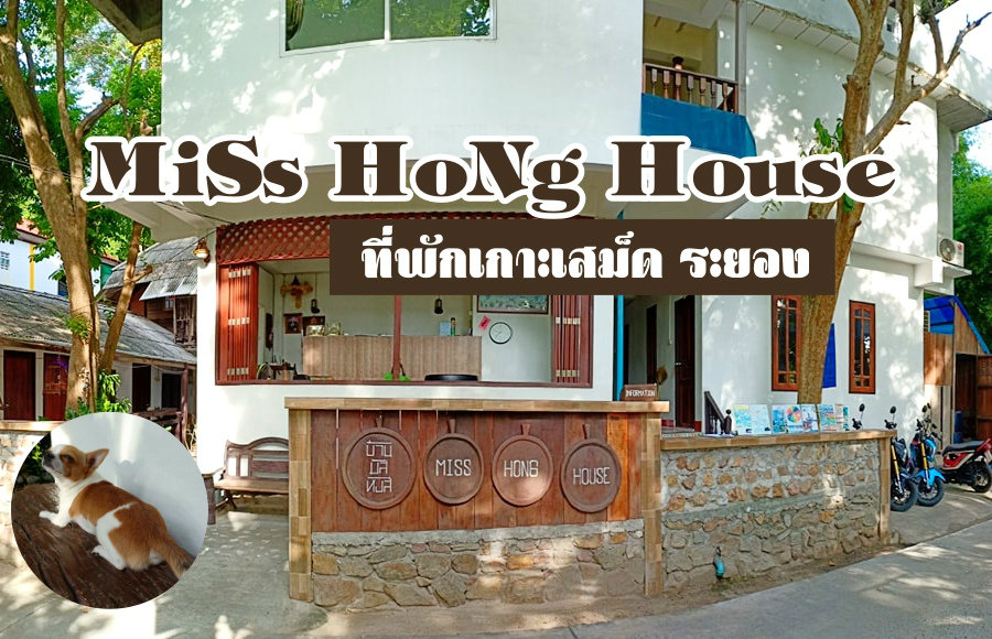 มิสหงษ์เฮาส์ MiSs HoNg House ที่พักเกาะเสม็ด ระยอง น้องหมาเข้าพักได้