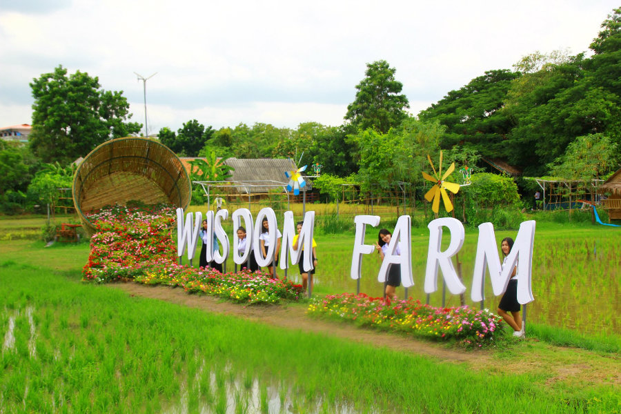 Wisdom Farm จ.ปทุมธานี ที่ท่องเที่ยวแห่งใหม่