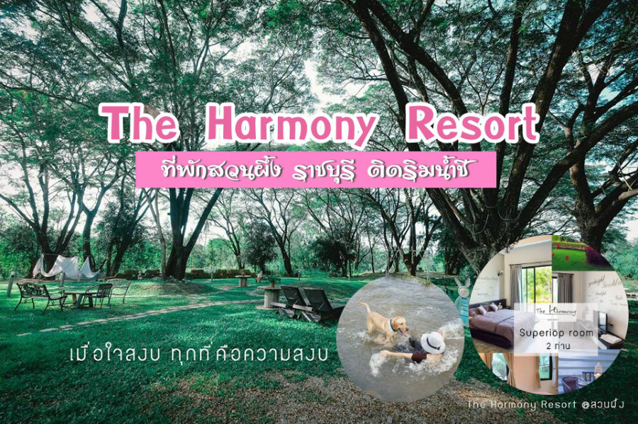 The Harmony Resort ที่พักสวนผึ้ง ราชบุรี ติดริมน้ำชี น้องหมาพักได้ทั้งหมาเล็กหมาใหญ่ สวยสุดๆ